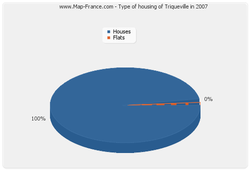 Type of housing of Triqueville in 2007