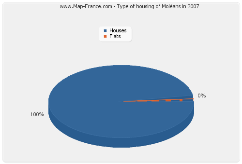 Type of housing of Moléans in 2007