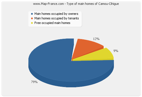 Type of main homes of Camou-Cihigue